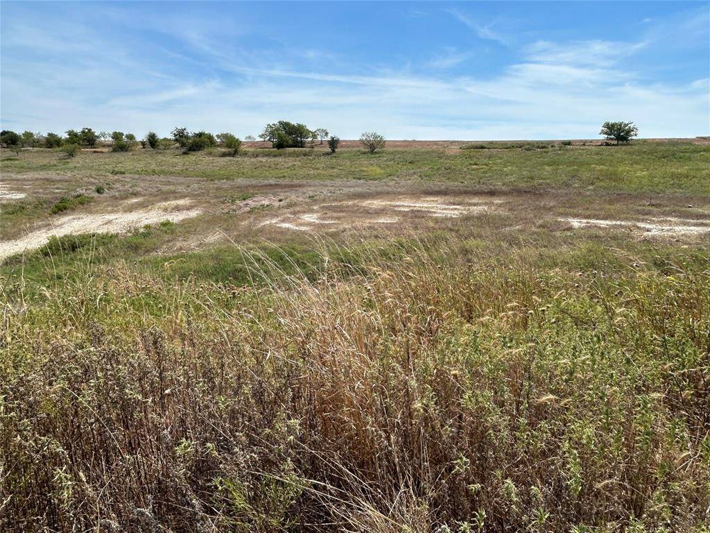 1029 Bear Creek Ranch Road, Aledo, TX 76008