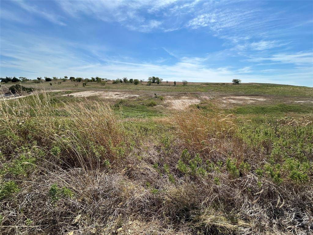 1025 Bear Creek Ranch Road, Aledo, TX 76008