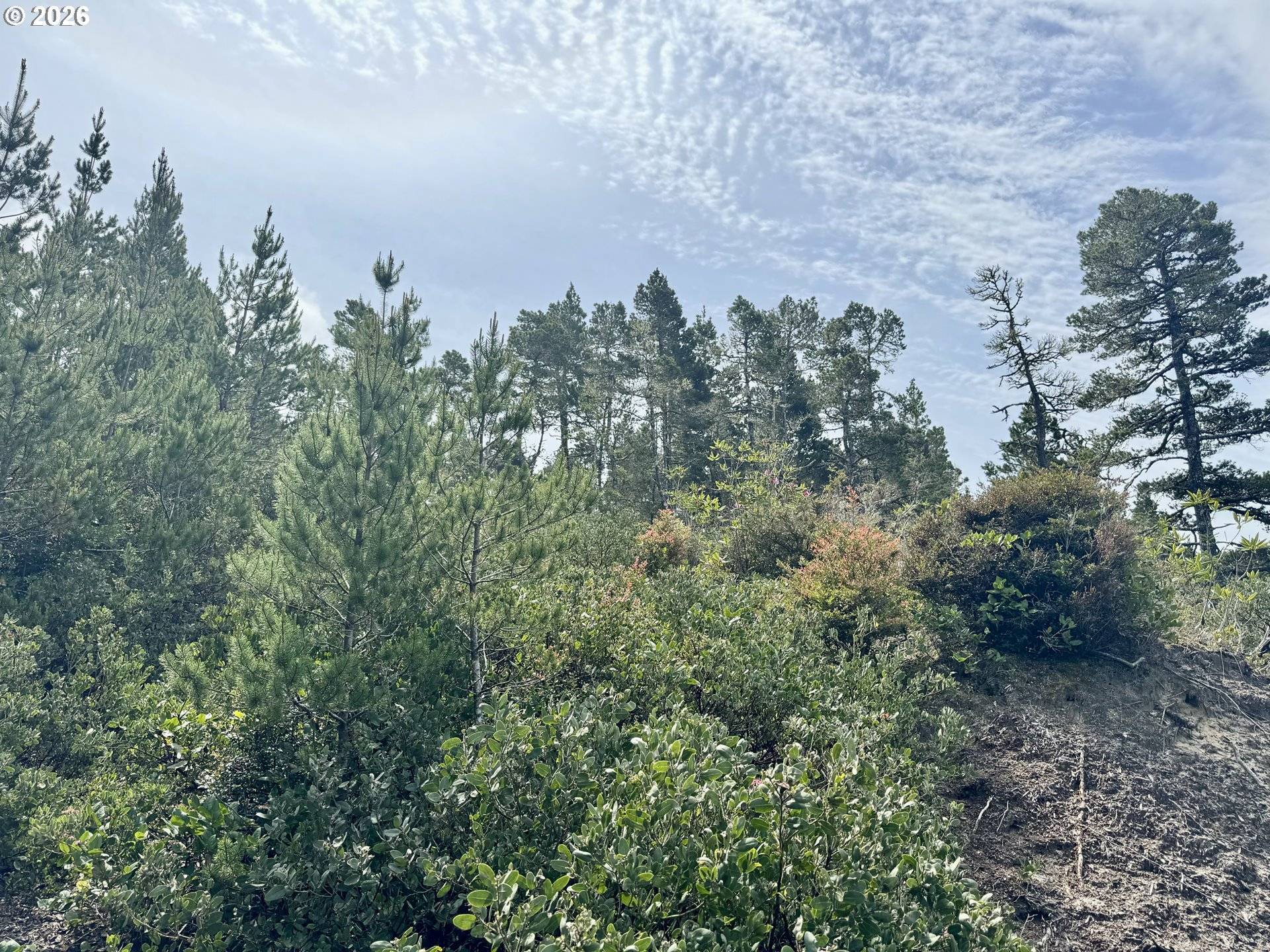 Kelsie Way #57, Florence, OR 97439