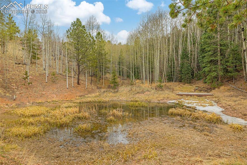 953 Yorktown RD, Cripple Creek, CO 80813