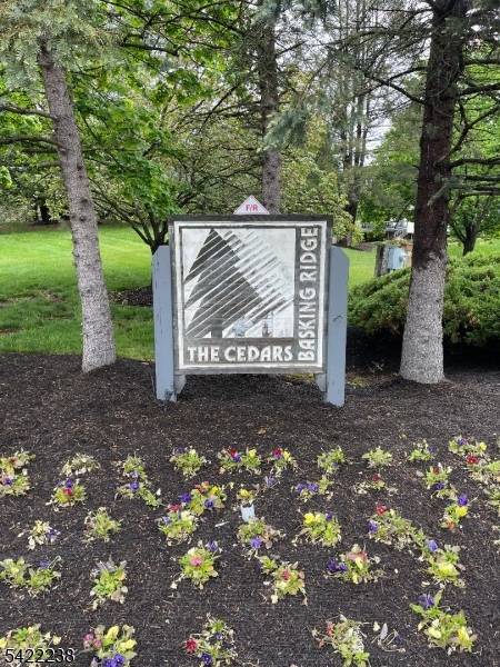 2301 Privet Way, Bernards Twp., NJ 07920