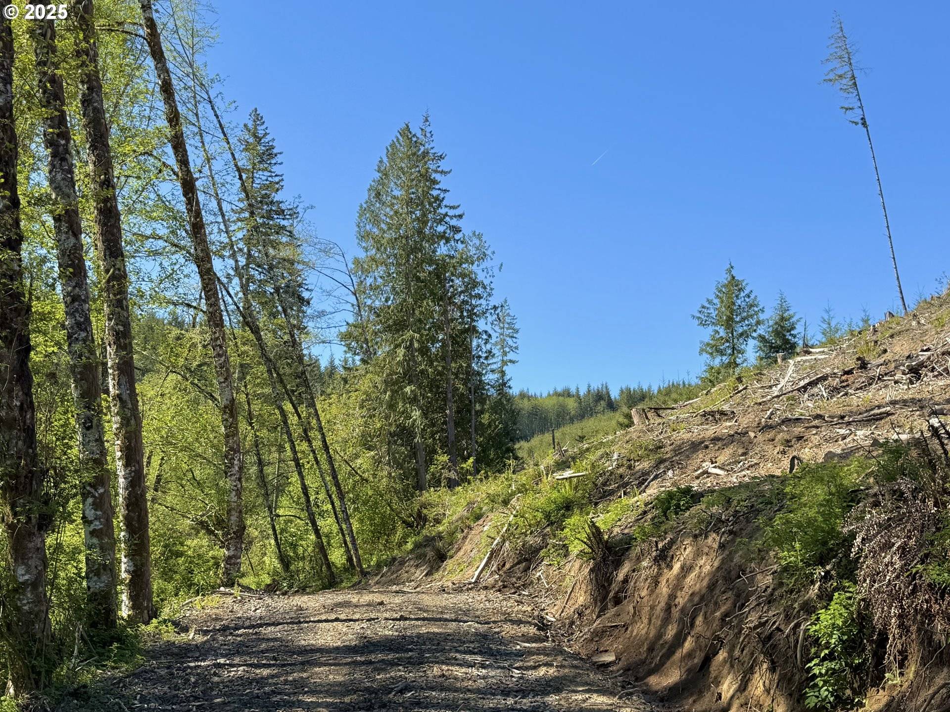73000 Clatskanie Heights RD, Clatskanie, OR 97016