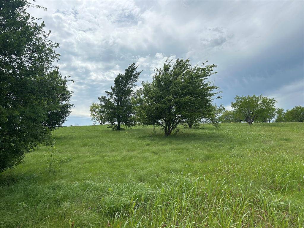2040 Hidden Bluff Drive, Aledo, TX 76008