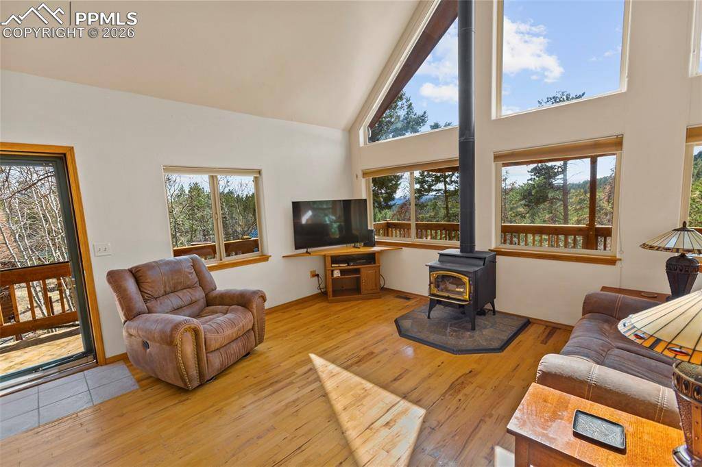 595 Bird Point RD, Florissant, CO 80816