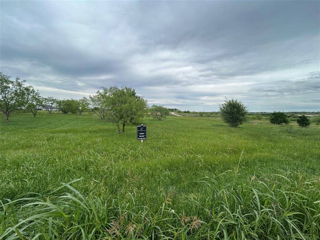 2059 Hidden Bluff Drive, Aledo, TX 76008