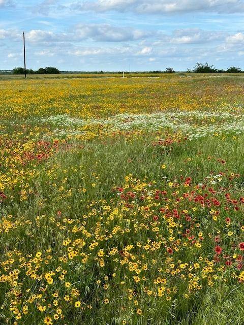 Tract 13-TBD Fm-677, Saint Jo, TX 76265