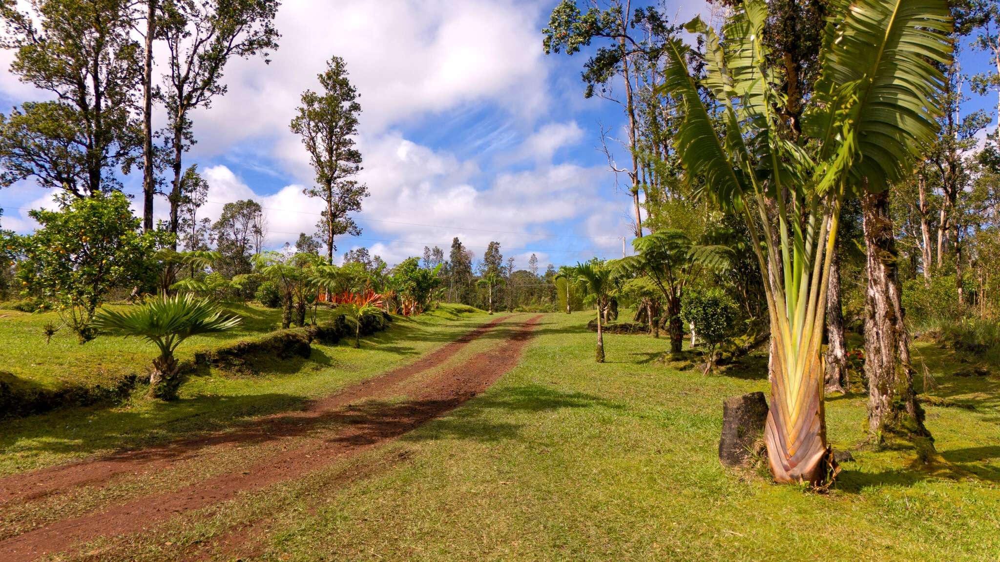 11-2670 LEHUA ST, Mountain View, HI 96771