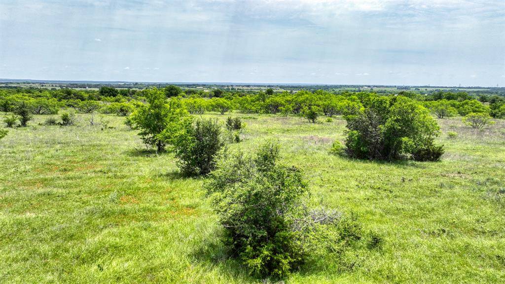 1036 Goodnight Trail, Perrin, TX 76486