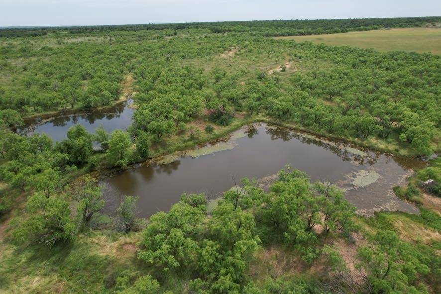 TBD FM 600, Anson, TX 79501