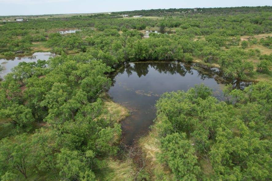 TBD FM 600, Anson, TX 79501