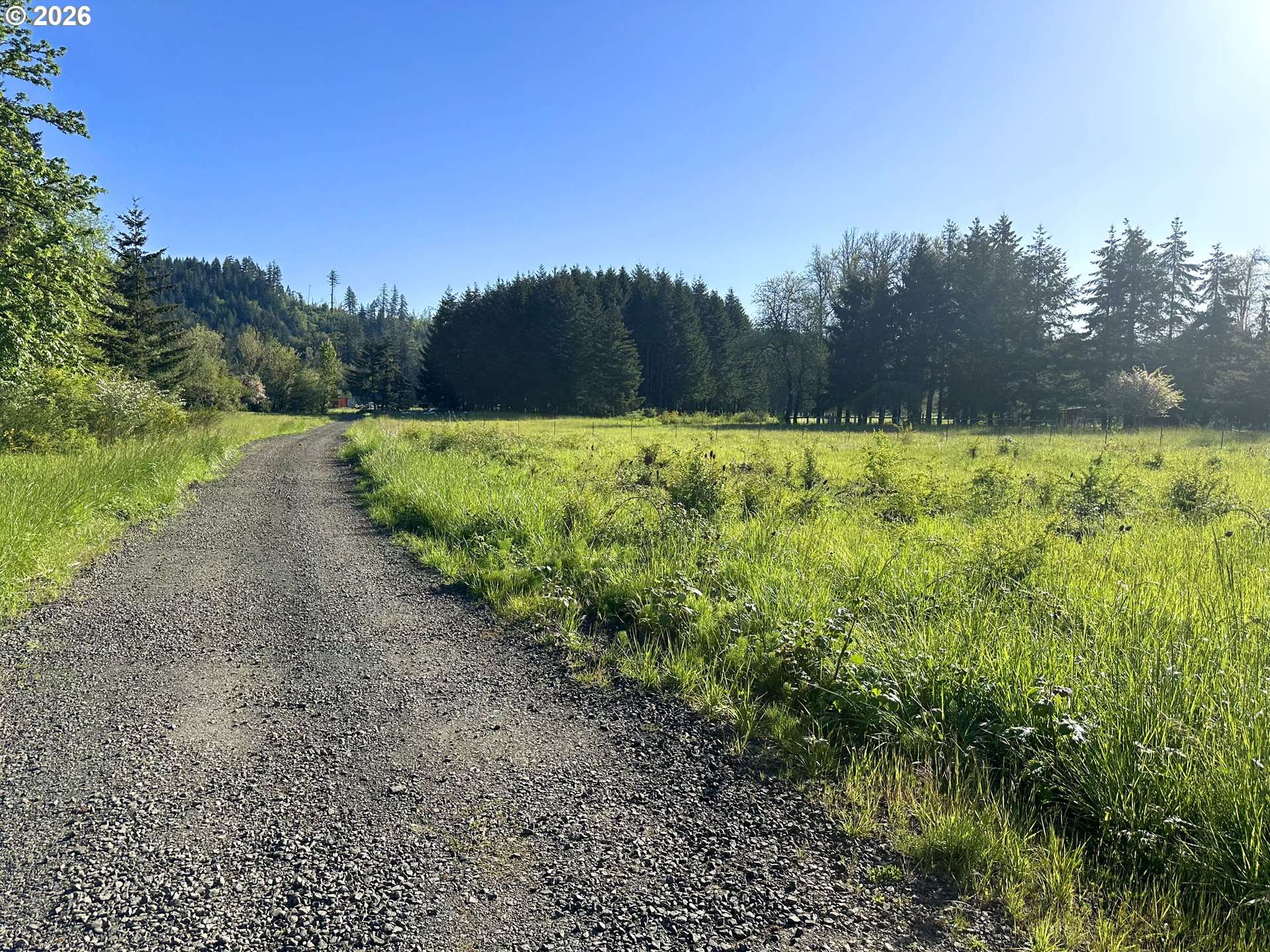 284398 Salmon River HWY, Willamina, OR 97396