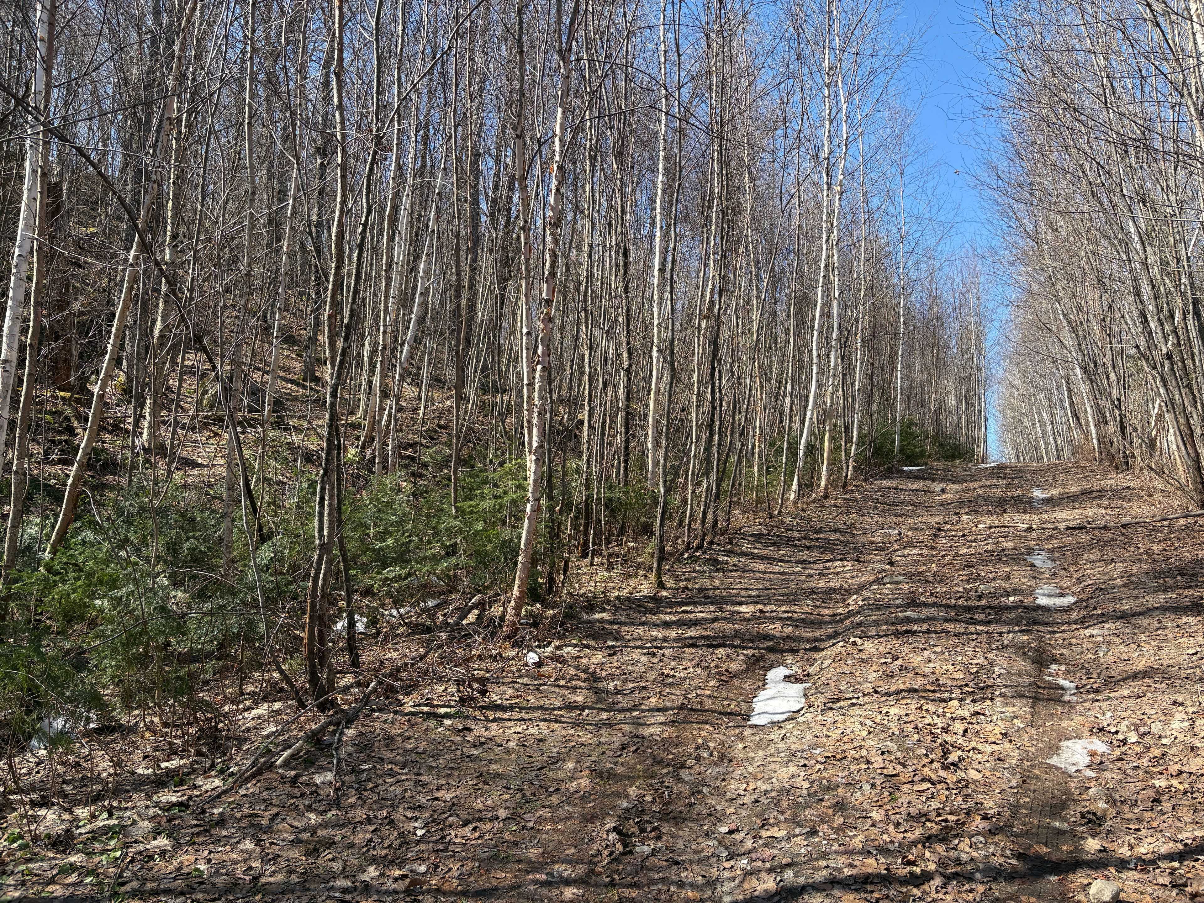 0 Hamilton Lake RD, Machar, ON P0A 1X0