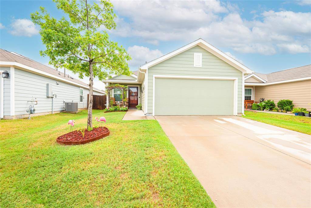 3217 Mountain Lion Avenue, Mckinney, TX 75071