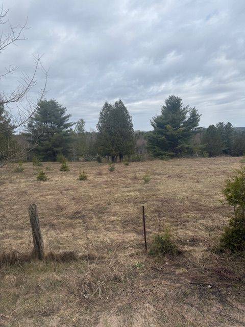 Lot 1 Detlor RD, Bancroft, ON K0L 1C0