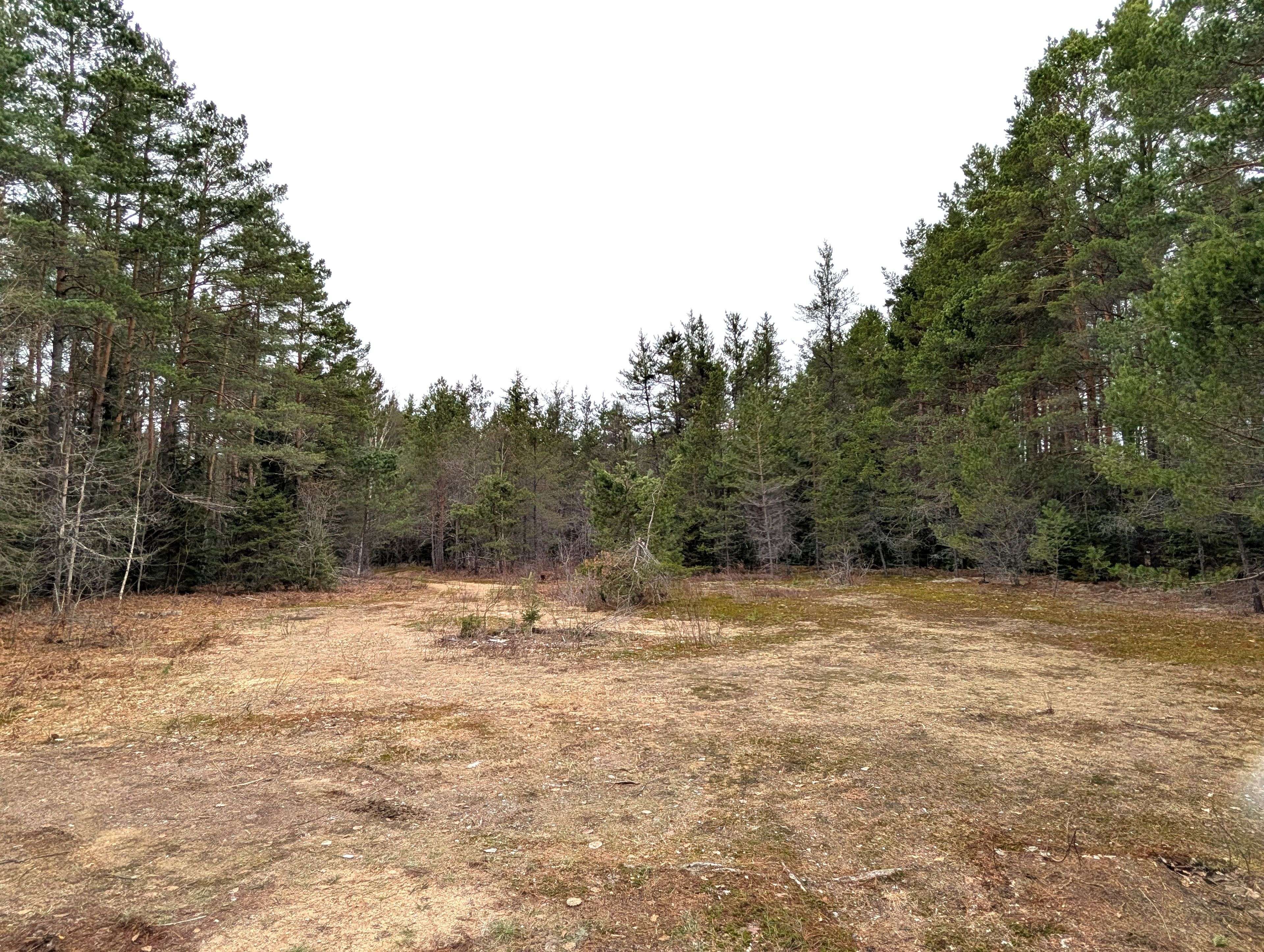 0 PEACOCK RD, Joly, ON P0A 1Z0