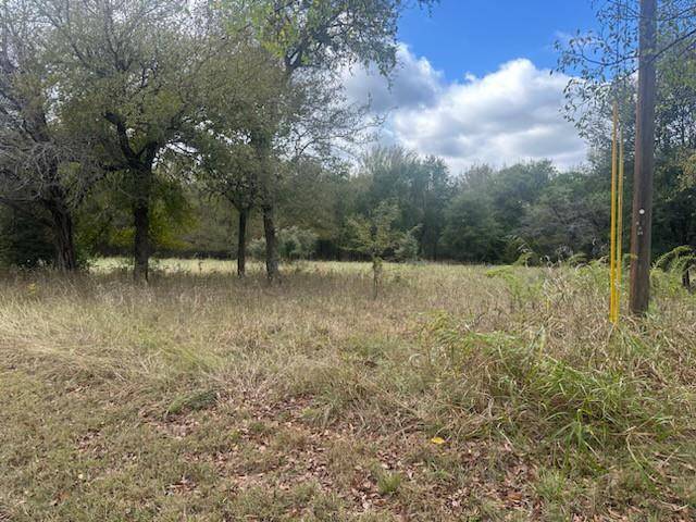 1545 White Bluff Drive, Whitney, TX 76692