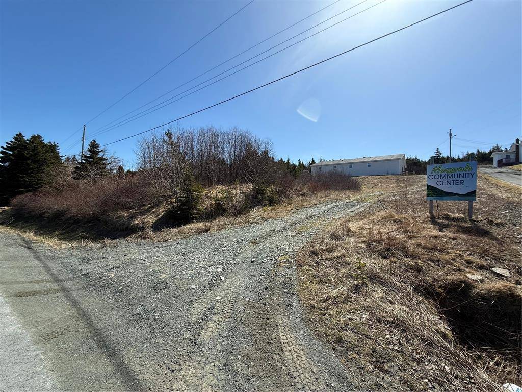 0 Long Pond Road, Marysvale, NL A0A 2Z0