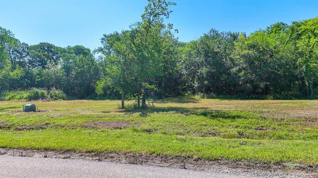 Lot 8 Diamond Point, Corsicana, TX 75109