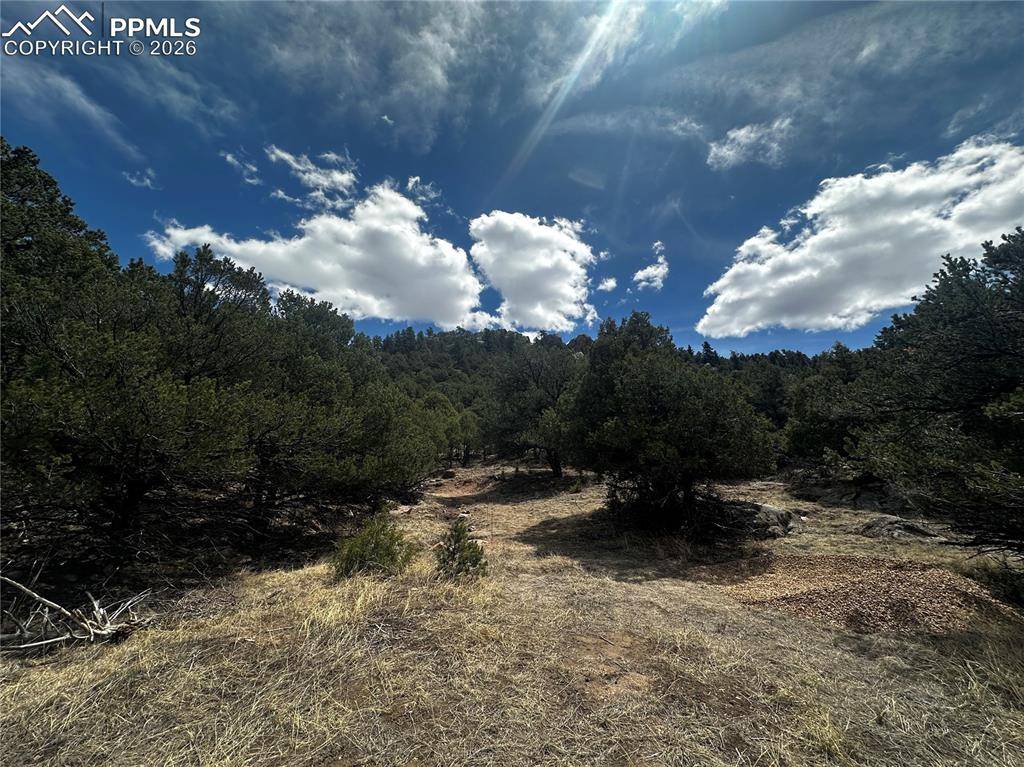 938 Shoshone DR, Canon City, CO 81212