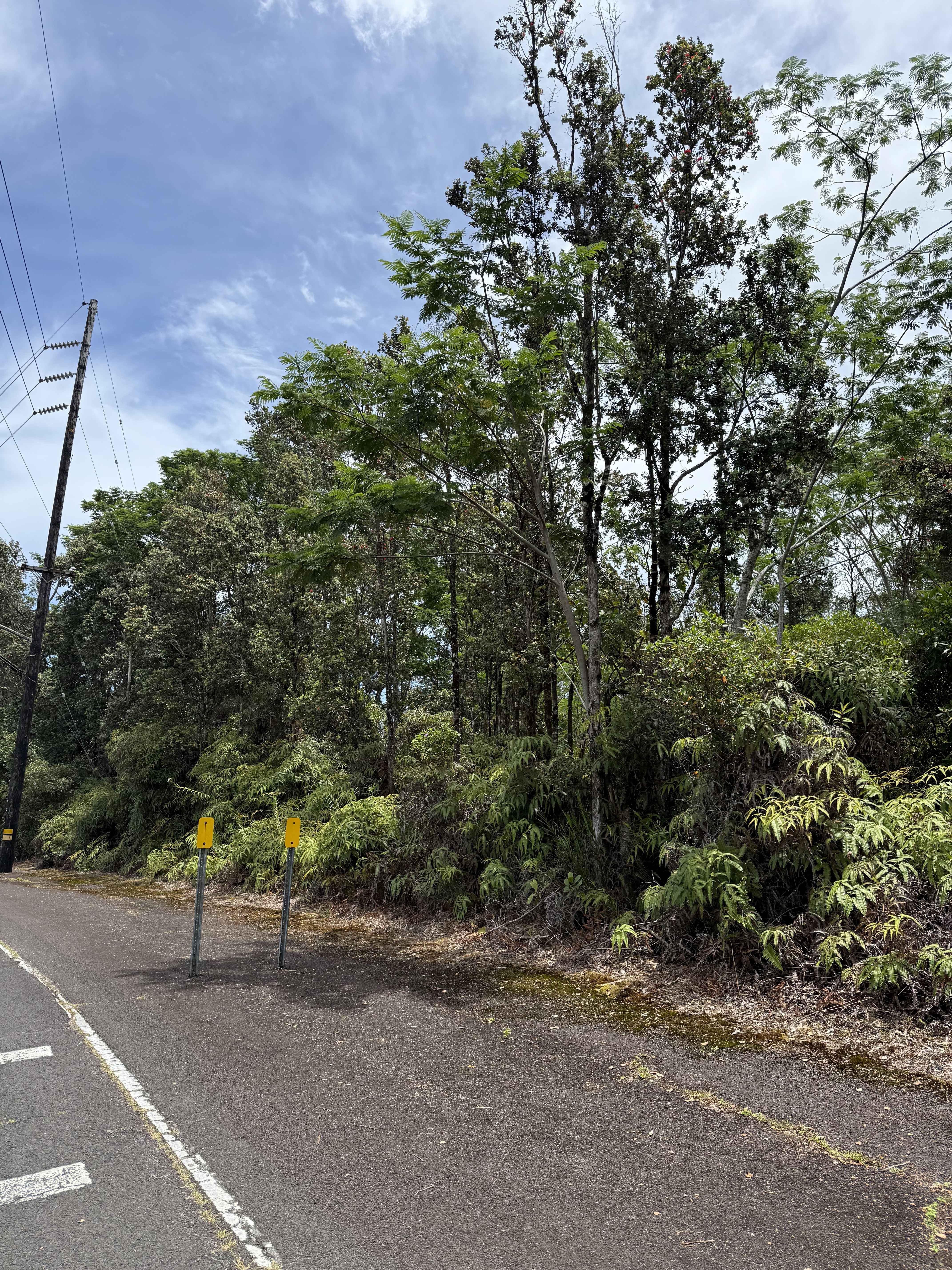 PUAINAKO ST. EXTENSION, Hilo, HI 96720