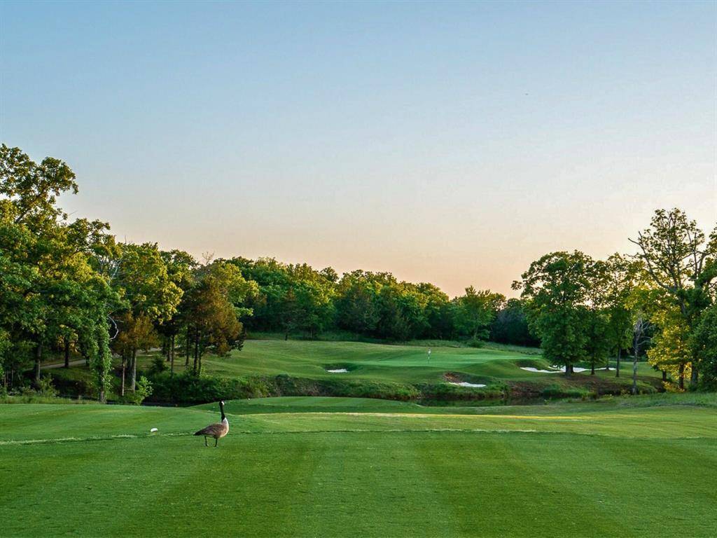 Lot 48 Park Meadows Court, Gordonville, TX 76245