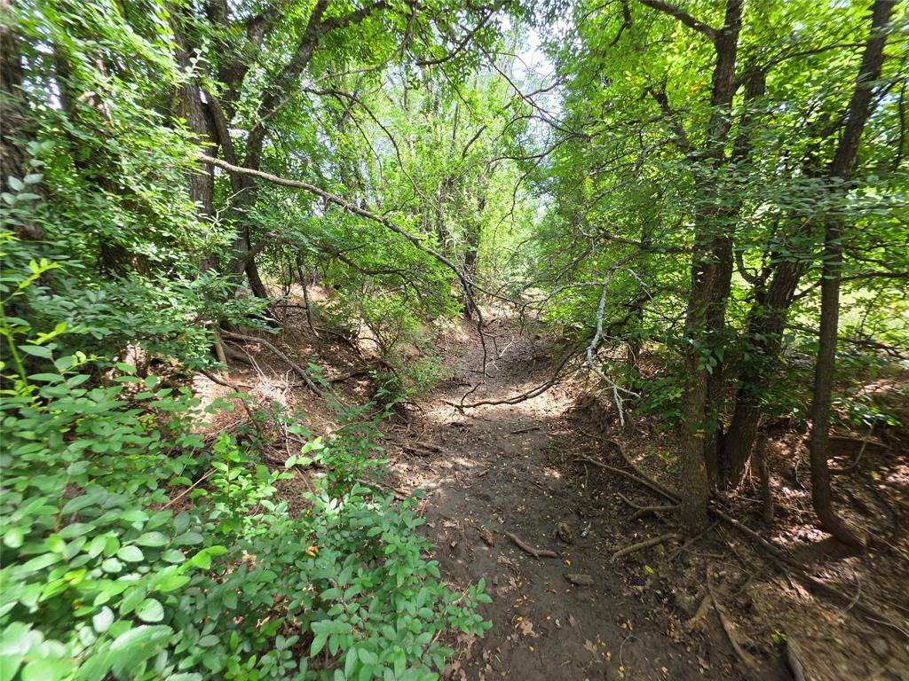 3201 County Road 612, Bangs, TX 76823