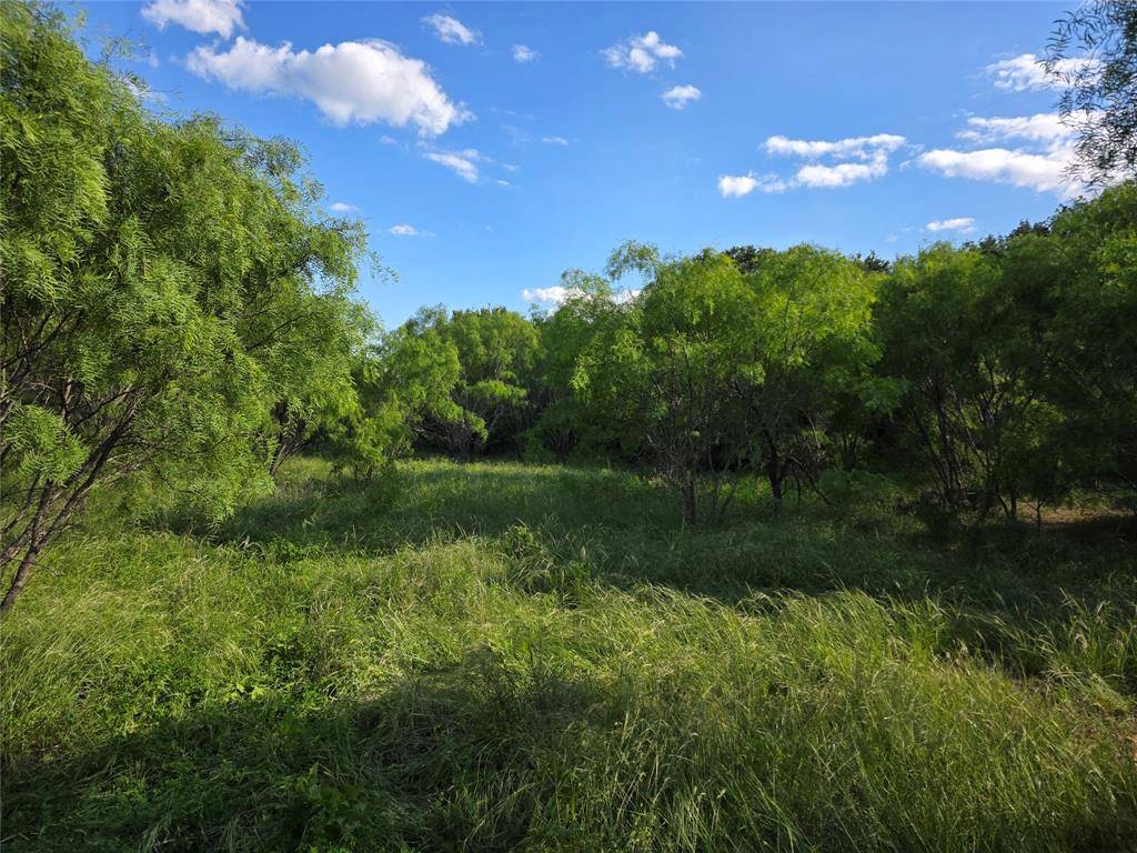 3201 County Road 612, Bangs, TX 76823