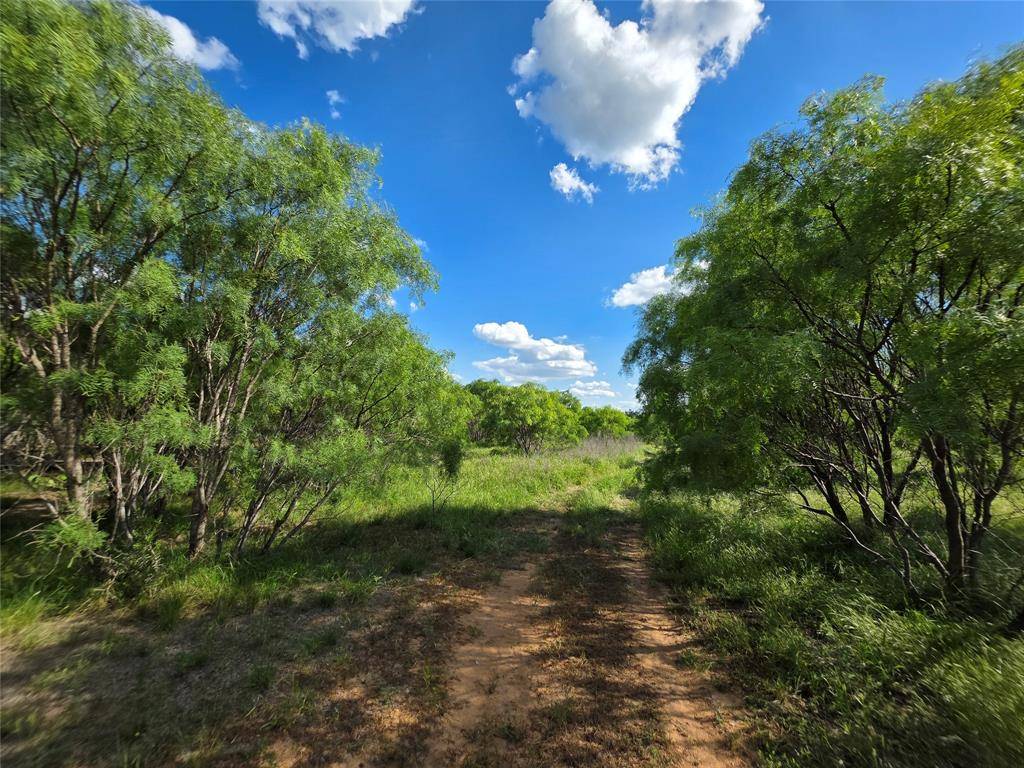 3201 County Road 612, Bangs, TX 76823