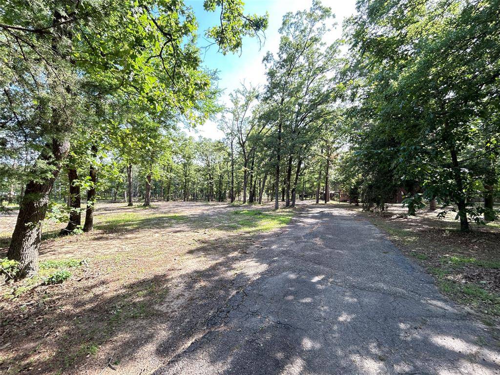 3236 Farm Road 3019, Winnsboro, TX 75494