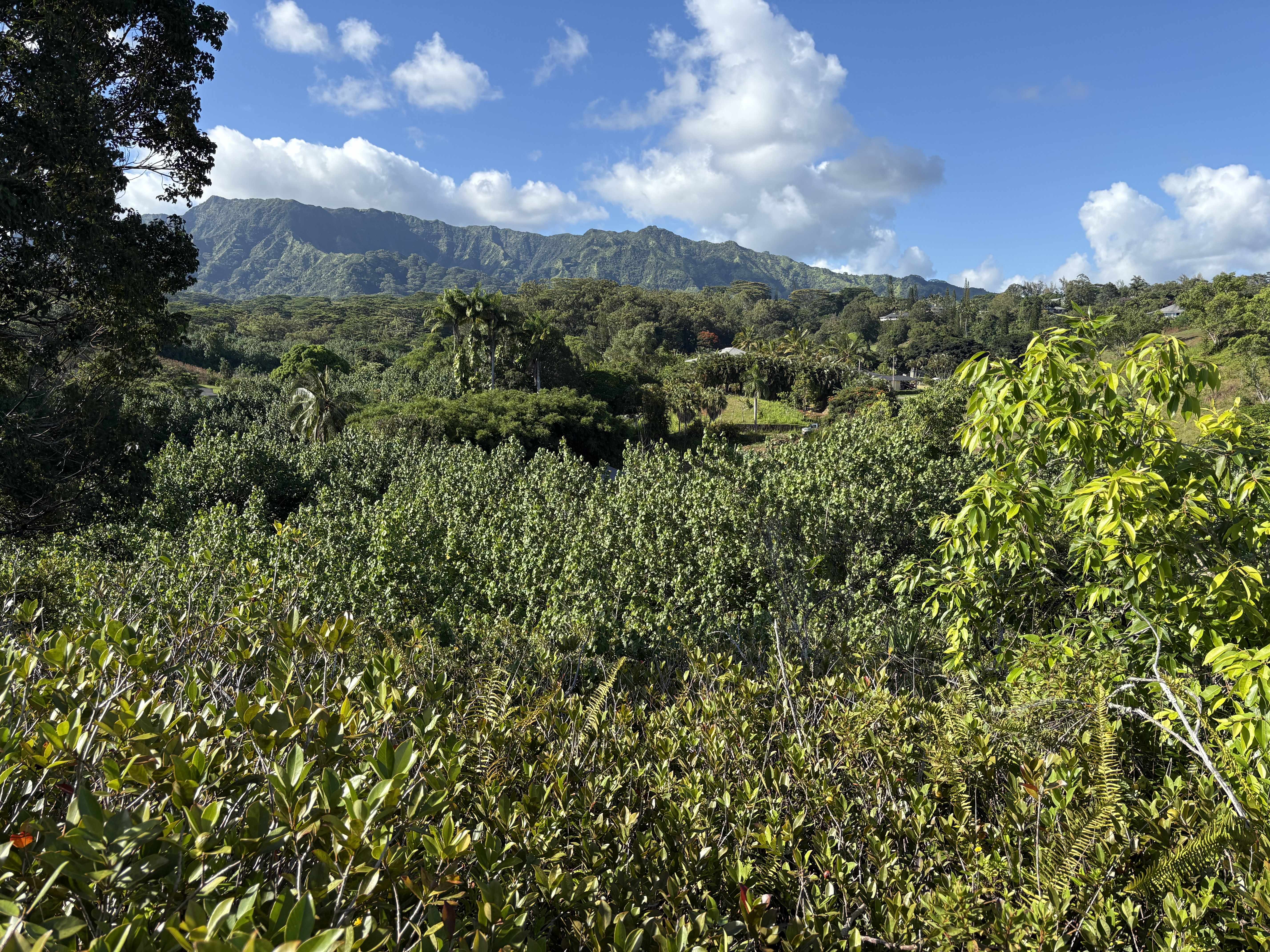 6631-A KIPAPA RD, Kapaa, HI 96746