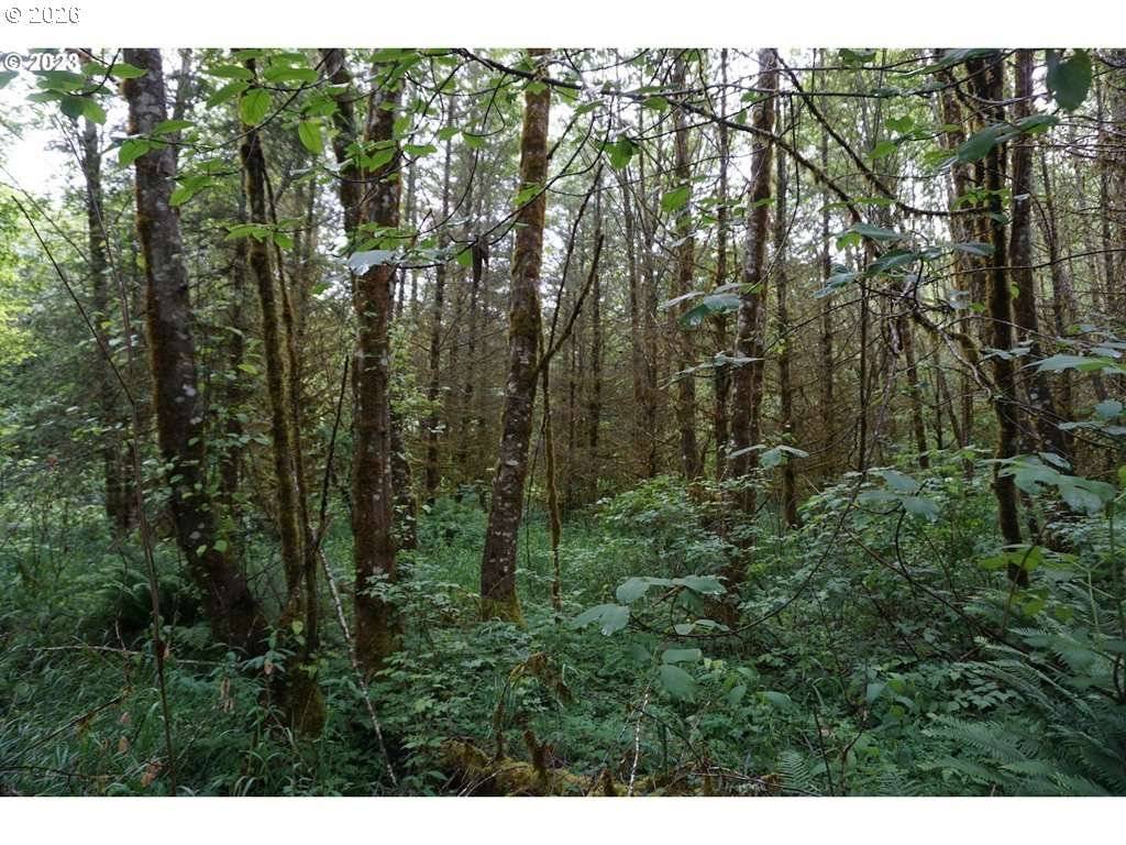 0000 NE Buncombe Hollow RD, Woodland, WA 98674