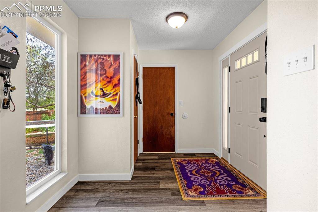 4620 Bunchberry LN, Colorado Springs, CO 80917