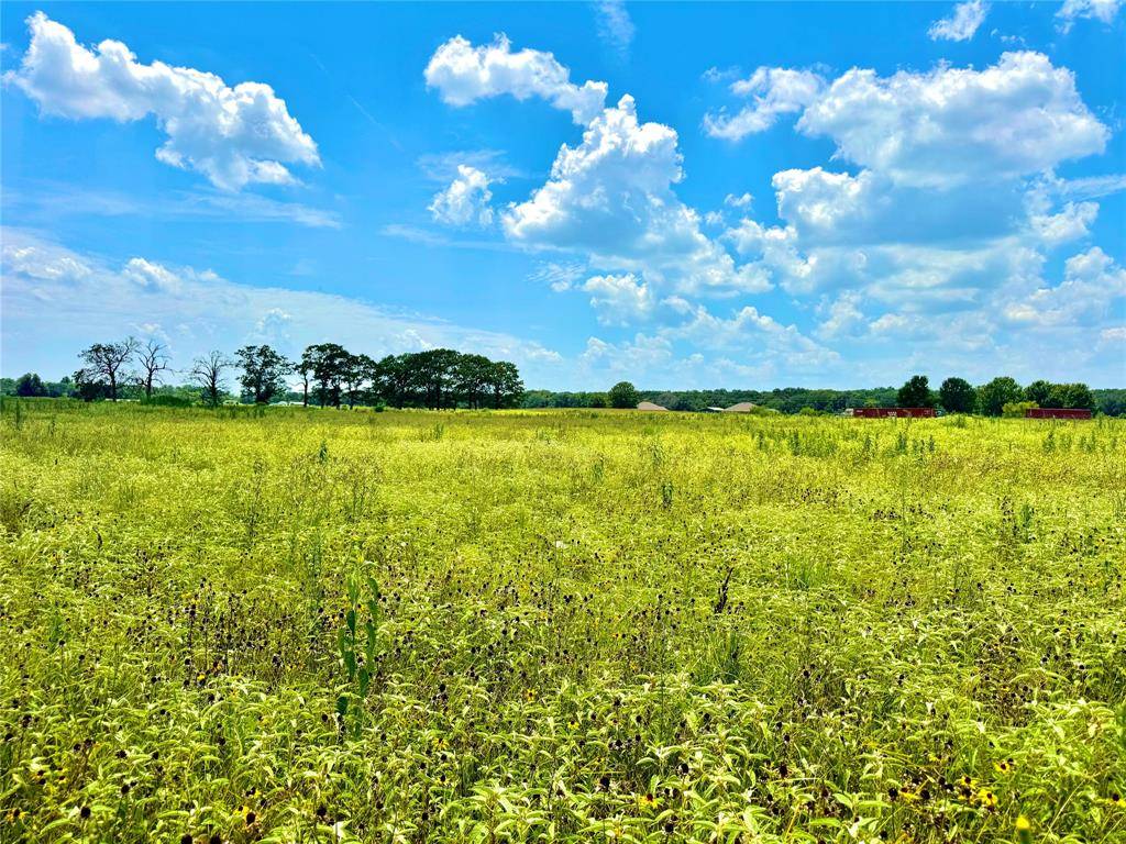 TBD Tract 23 County Rd 3644, Saltillo, TX 75471