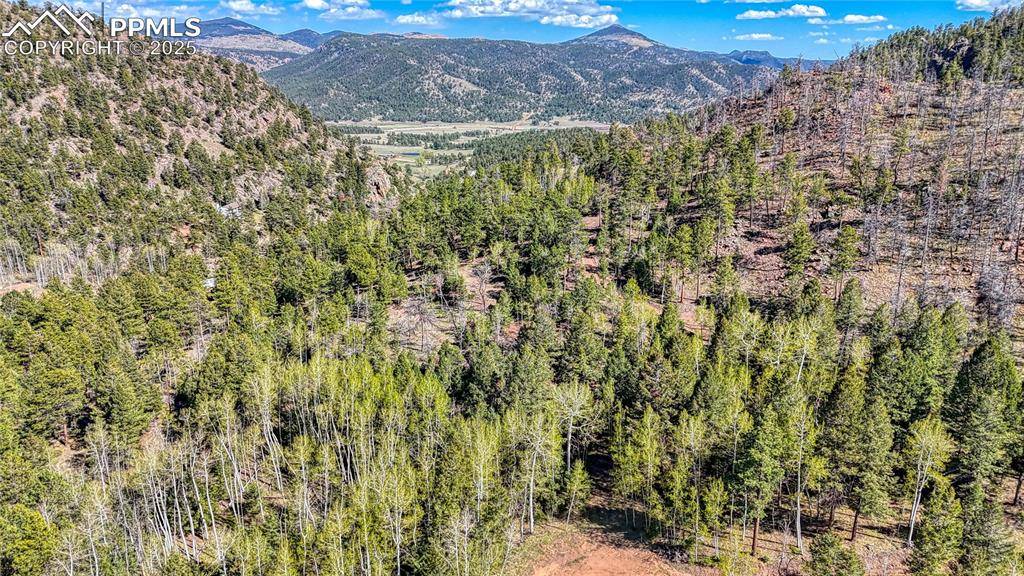 56 Fir LN, Florissant, CO 80816