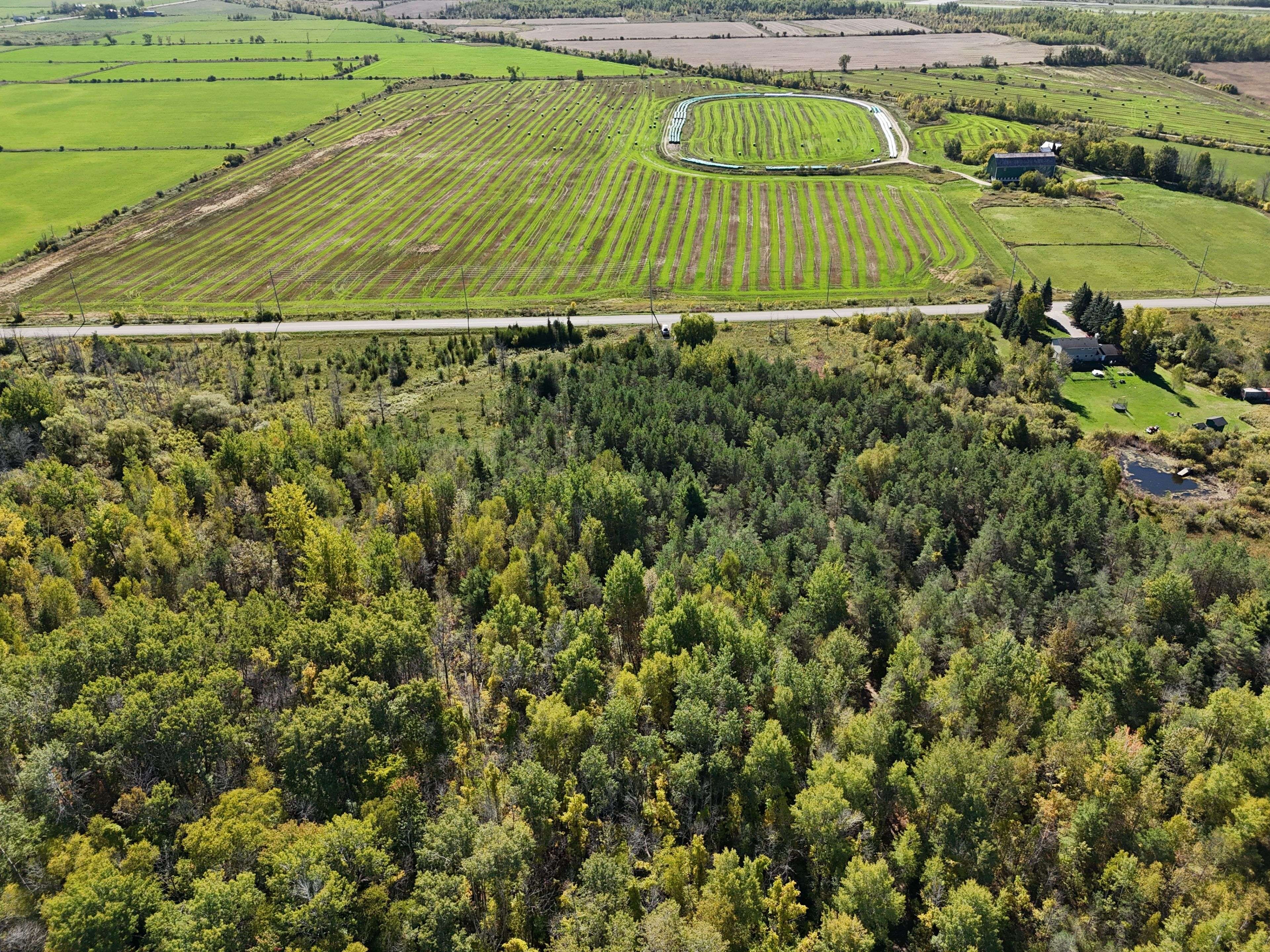 6696 33/34 Nottawasaga Side Road, Clearview, ON L0M 1S0