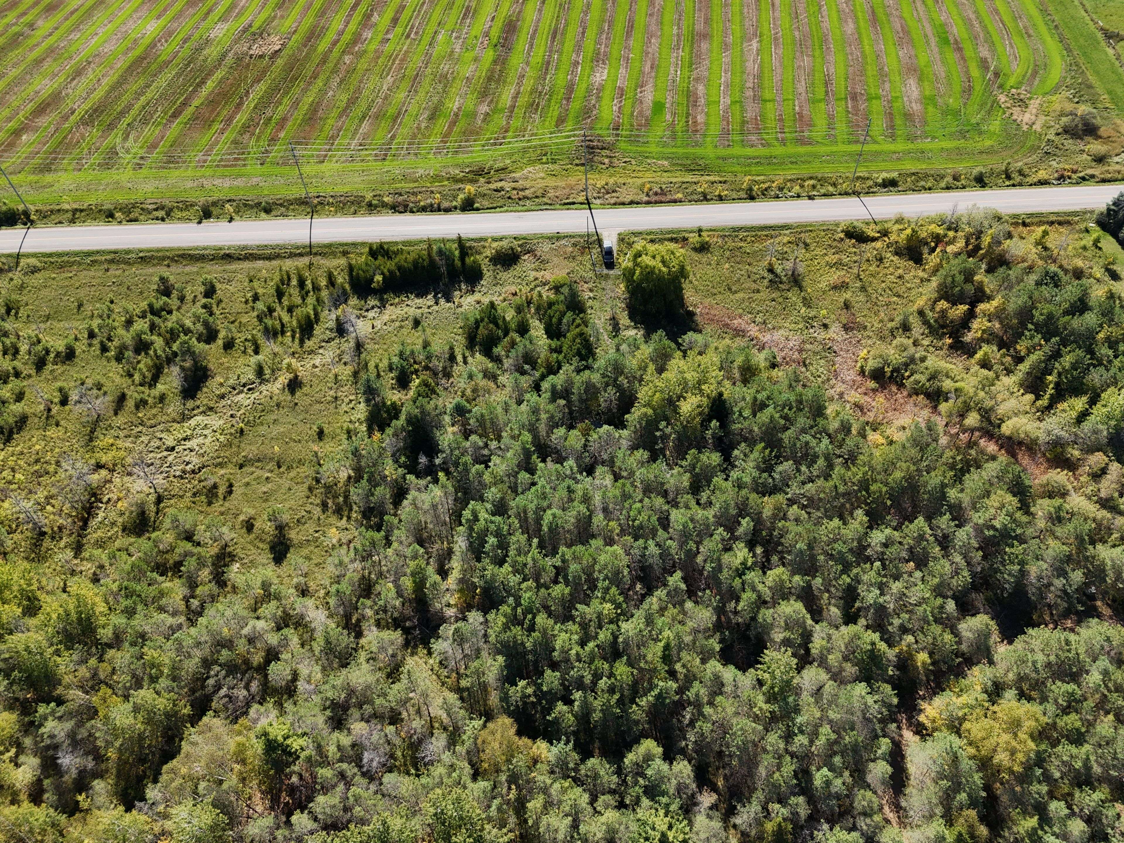 6696 33/34 Nottawasaga Side Road, Clearview, ON L0M 1S0