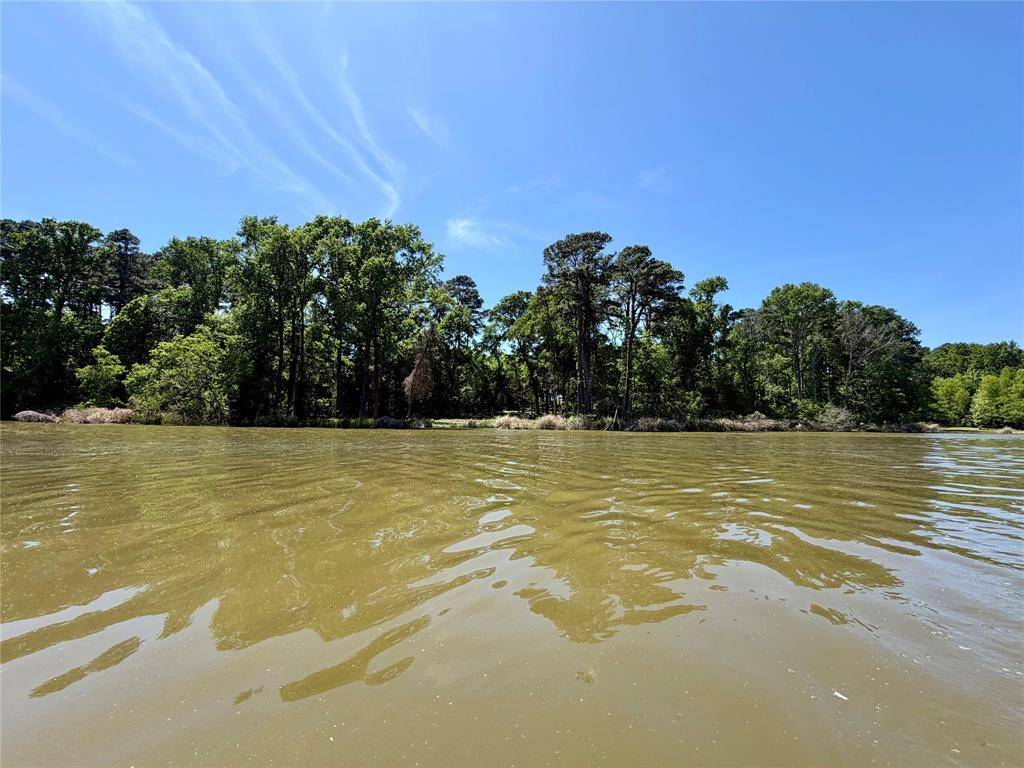 10196 County Road 3202, Chandler, TX 75758