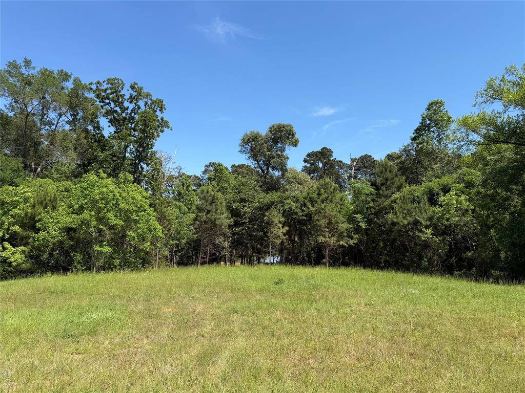 10196 County Road 3202, Chandler, TX 75758