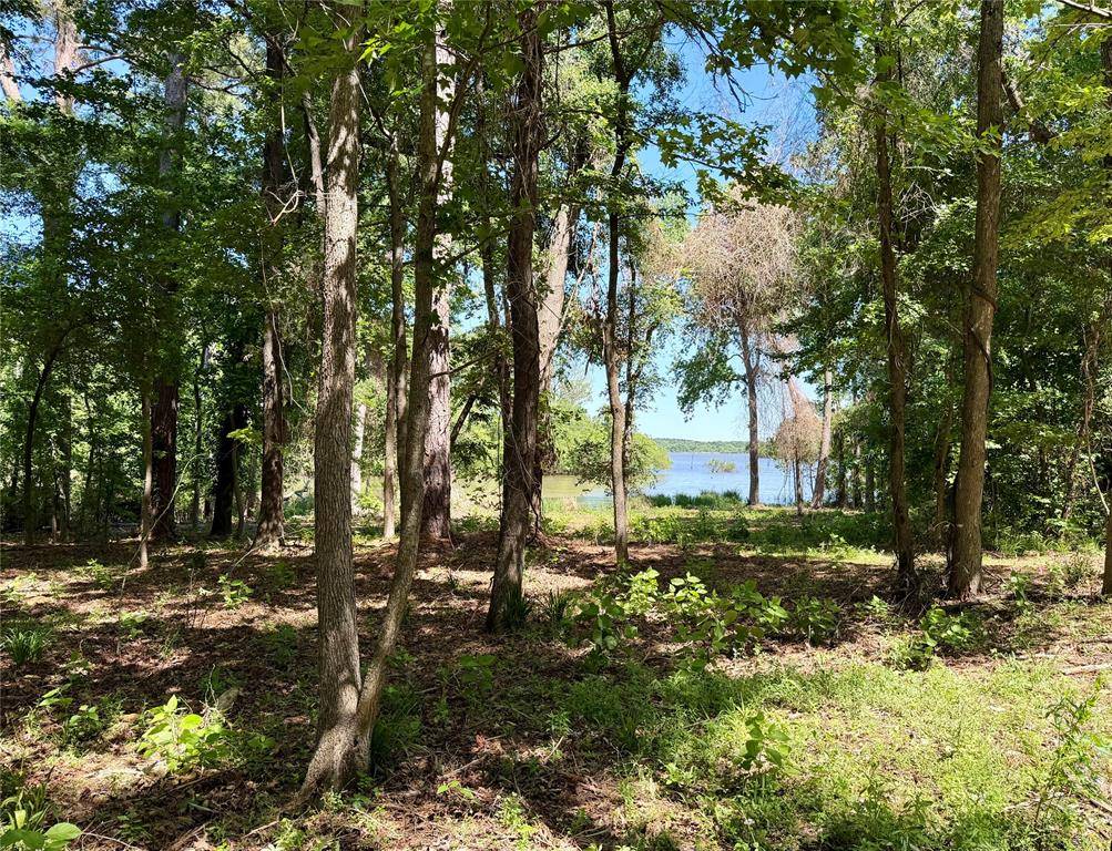 10196 County Road 3202, Chandler, TX 75758