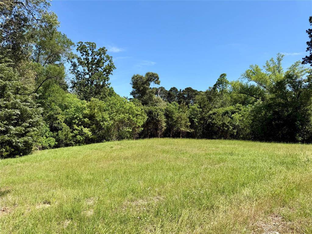 0000 County Road 3202, Chandler, TX 75758