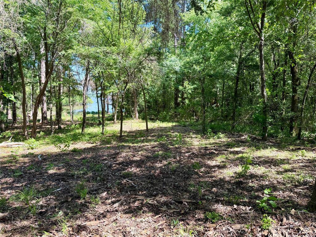 0000 County Road 3202, Chandler, TX 75758