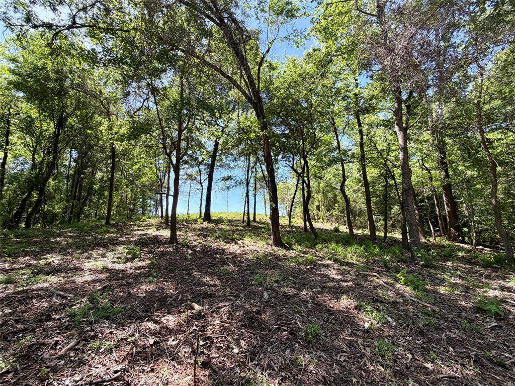 0000 County Road 3202, Chandler, TX 75758