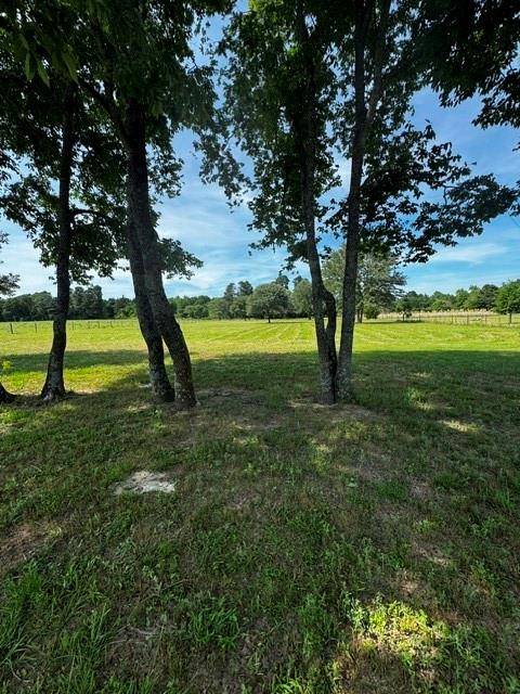 11219 Fm 317, Murchison, TX 75778