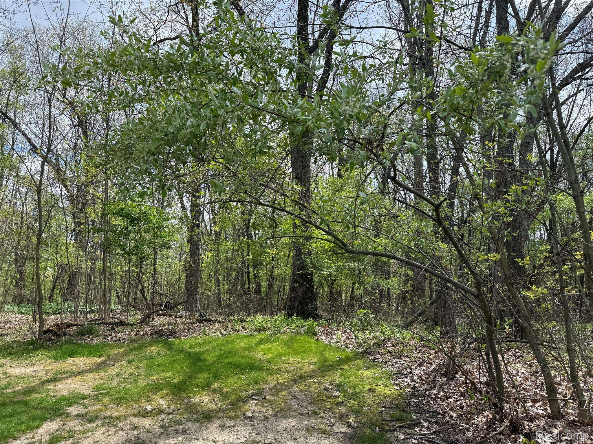 Lot 25 Hidden Ridge TRL, Tyrone Township, MI 48430