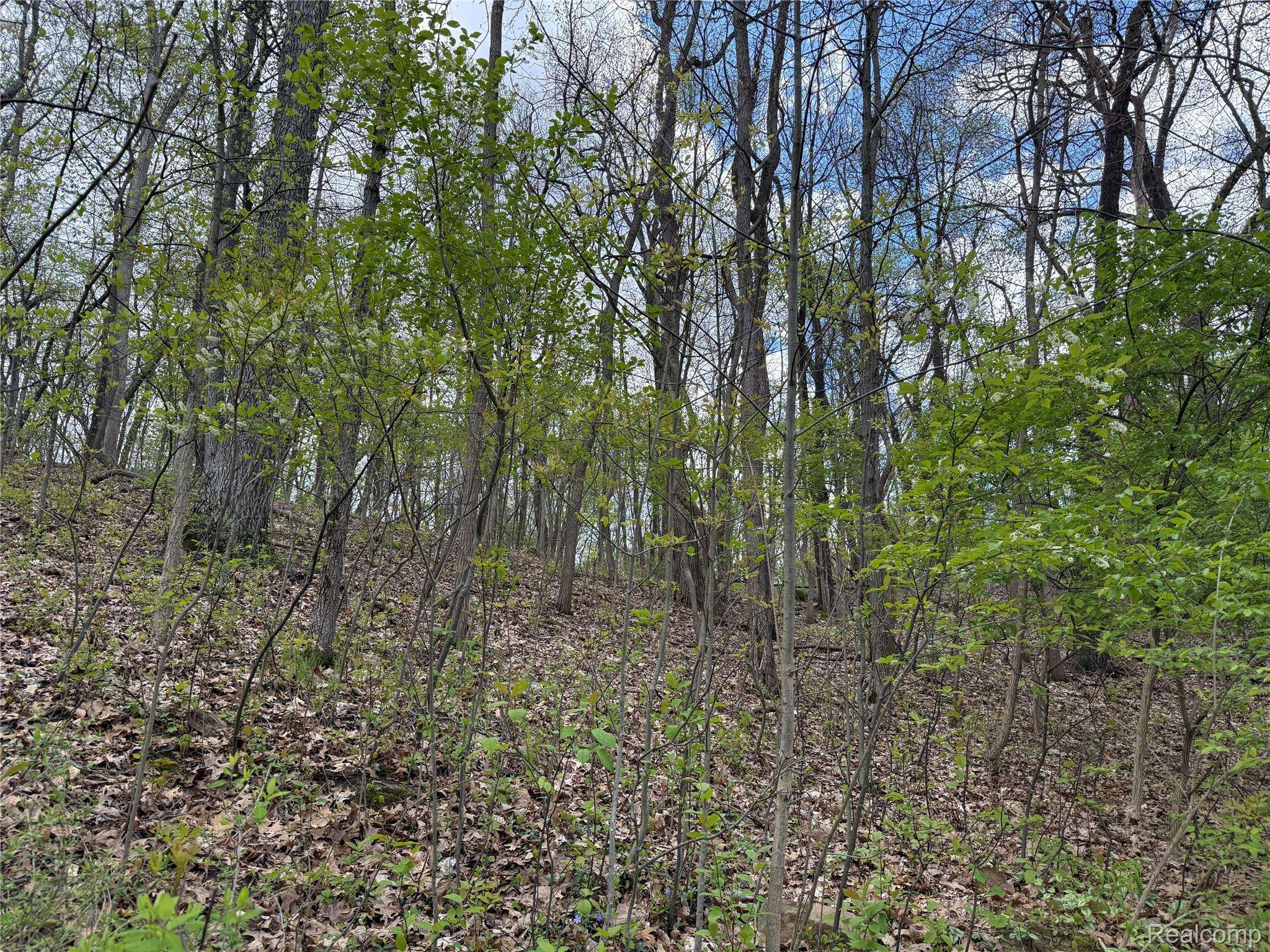 Lot 25 Hidden Ridge TRL, Tyrone Township, MI 48430