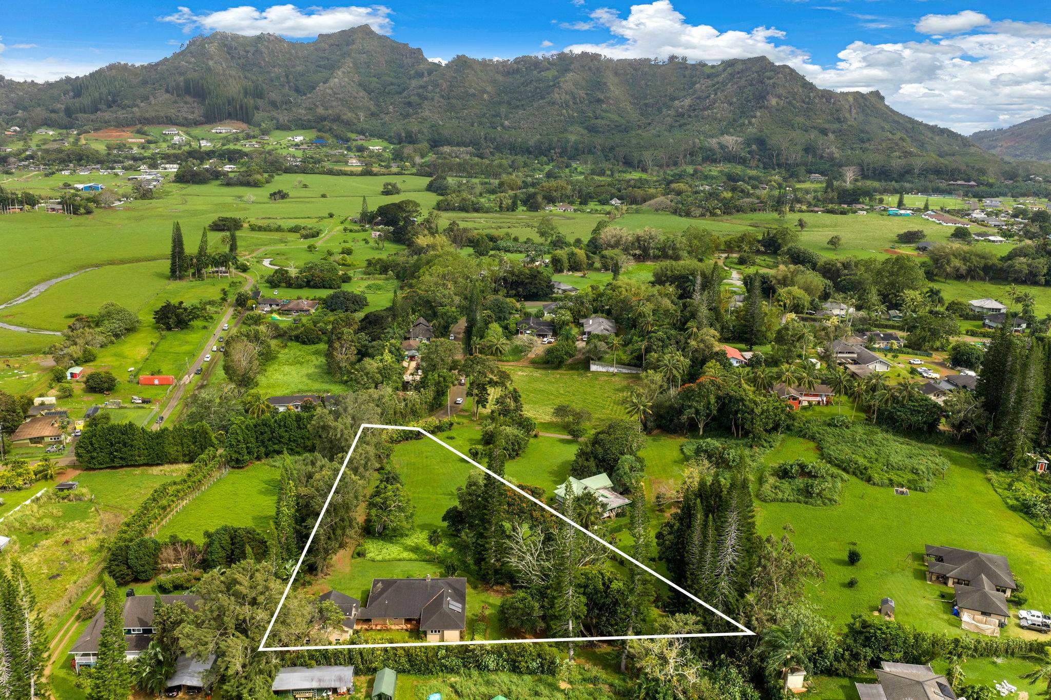 597 PUUOPAE RD, Kapaa, HI 96746
