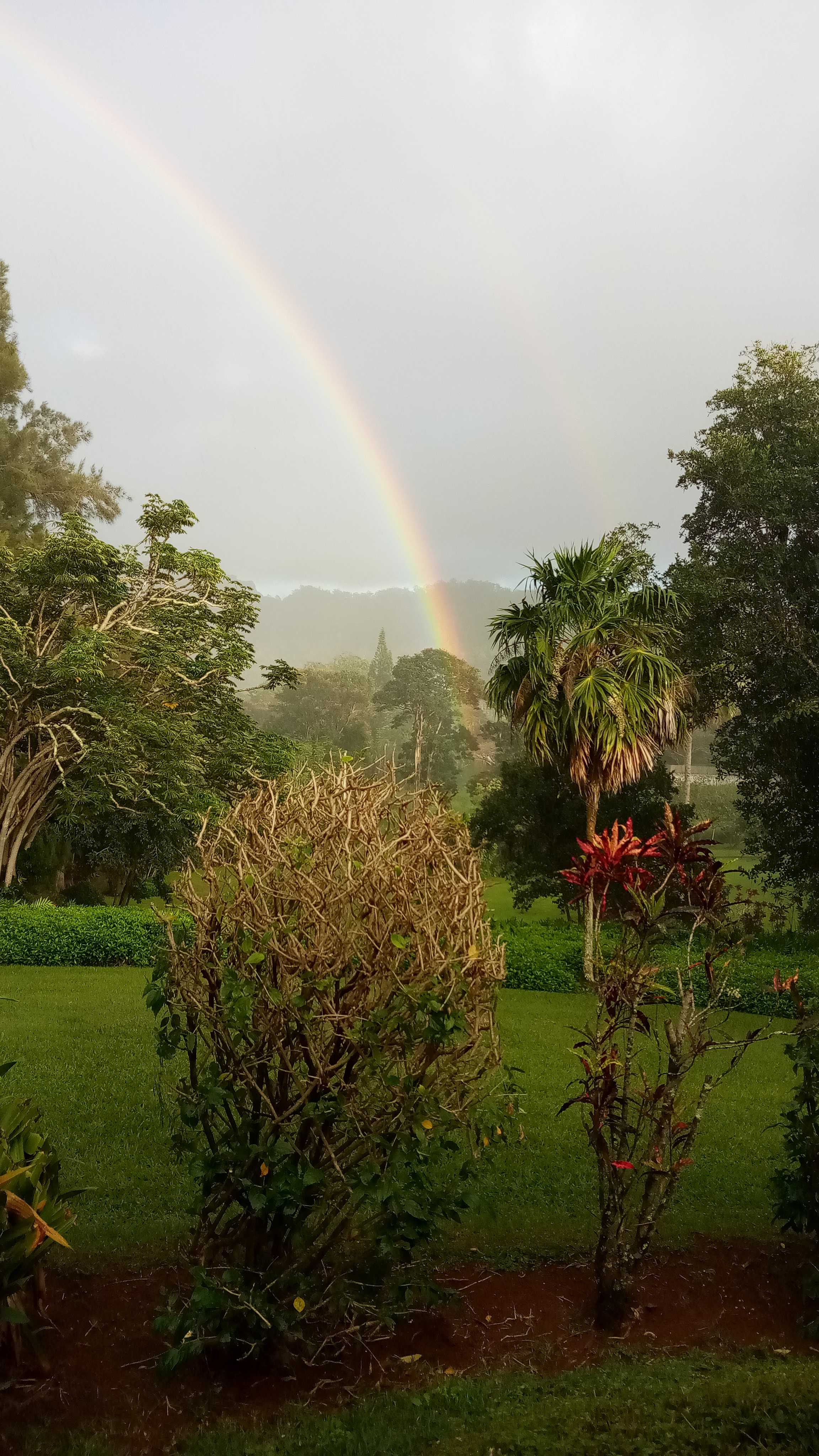 597 PUUOPAE RD, Kapaa, HI 96746