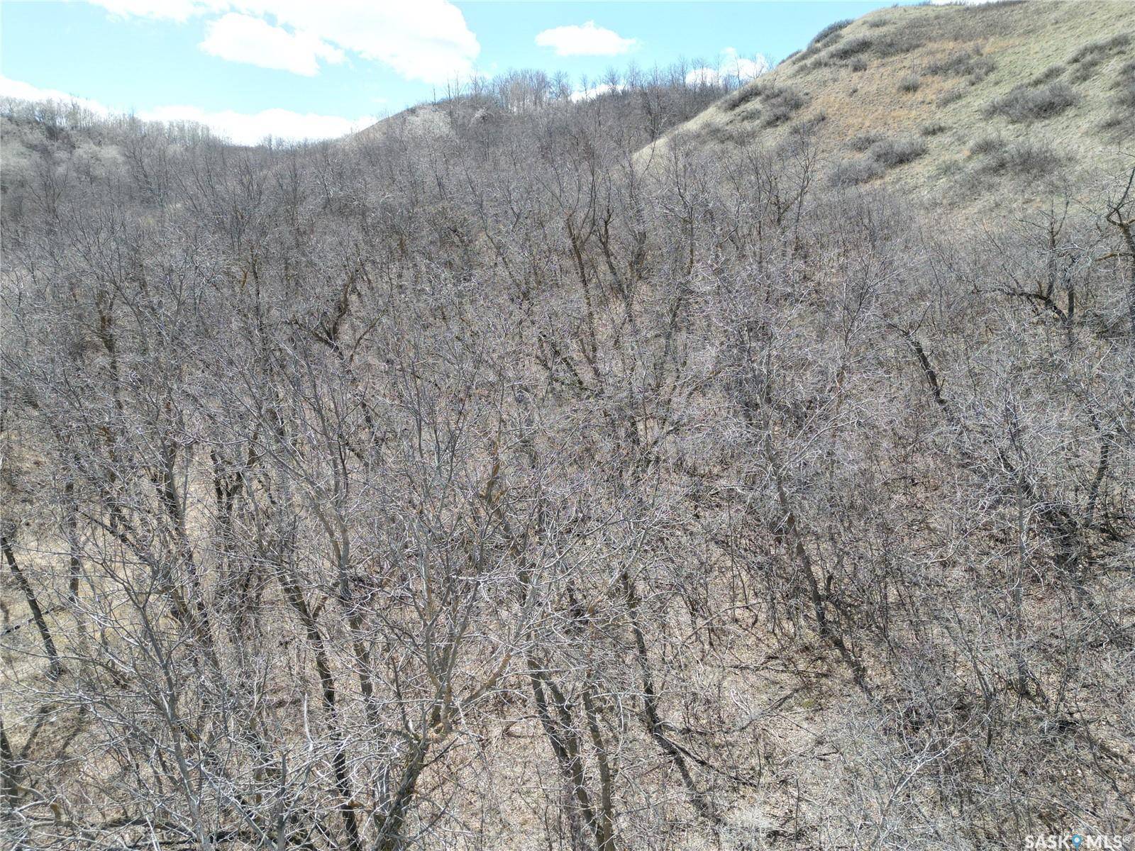 60 R PLACE, North Qu'appelle Rm No. 187, SK S0G 1S0