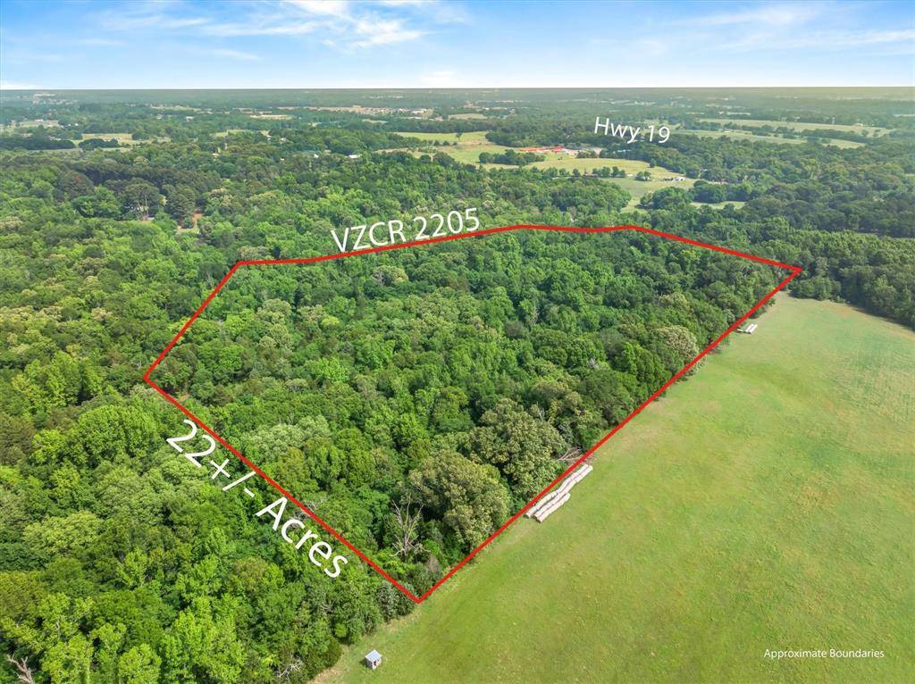 TBD Vz County Road 2205, Canton, TX 75103