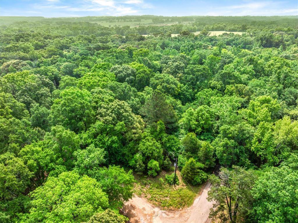 TBD Vz County Road 2205, Canton, TX 75103